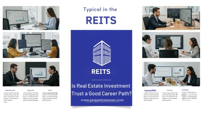 Employees working at computer desks analyzing Is Real Estate Investment Trusts a Good Career Path?